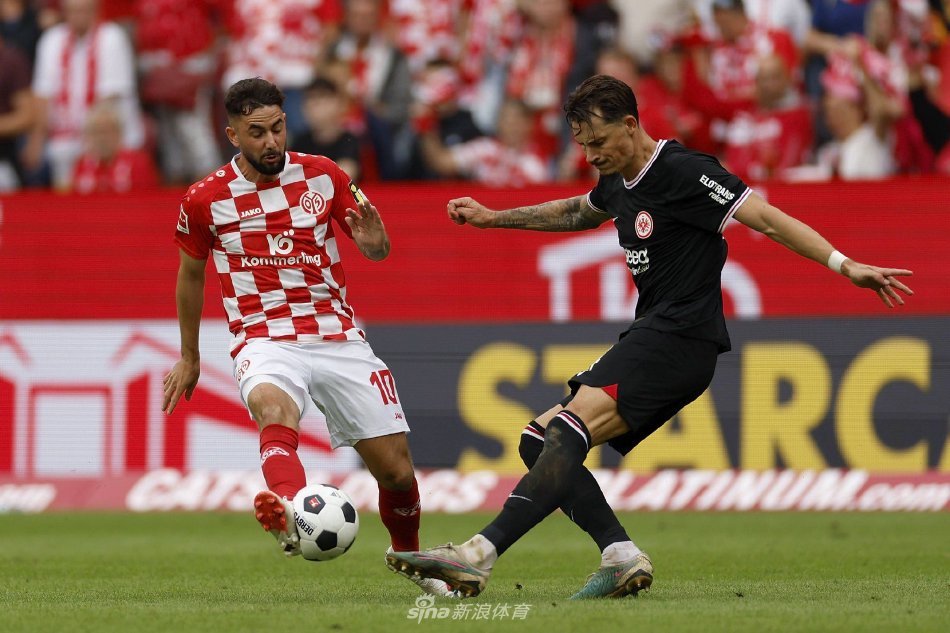 网球明星贝 网球明星贝